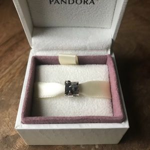 Pandora Silver Charm